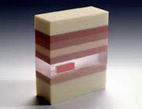 MAMMOGRAPHIC STEP WEDGES MODEL 017 - IDEAL FOR EVALUATING SYSTEM PERFORMANCE UNDER VARYING EXPOSURE PARAMETERS