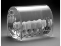 3D Spine Phantom Model 025