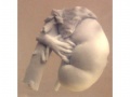Kidney Training Phantom Model 056 - Designed for interventional training and 3D surface rendering