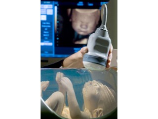 FETAL ULTRASOUND TRAINING PHANTOM MODELS 065-20 065-36