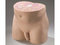 Virtually Human Male Pelvis Phantom Model 801-P-F